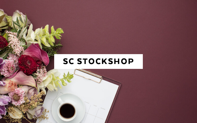 The Best 15 Sites for paid and free stock photos for feminine brands - SC Stockshop