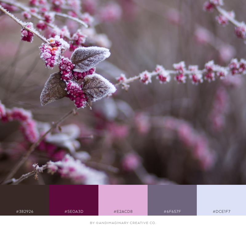 Free fonts, color palettes & stock photos that add a festive feel to your brand